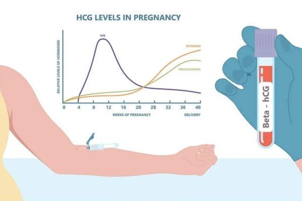 HCG est-il détectable dans l'organisme
