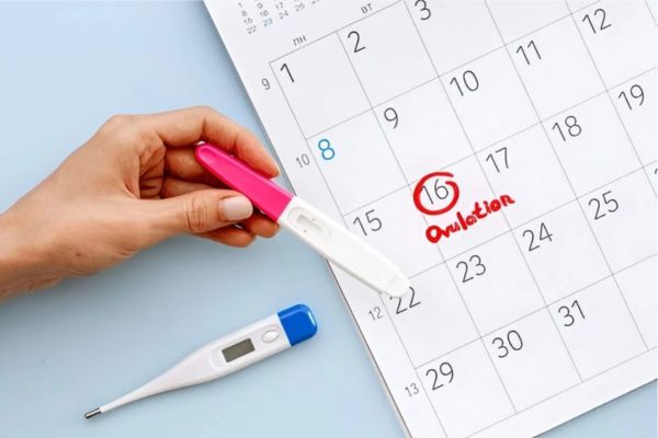 calendrier et test de grossesse