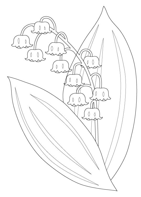 coloriage fleur guy