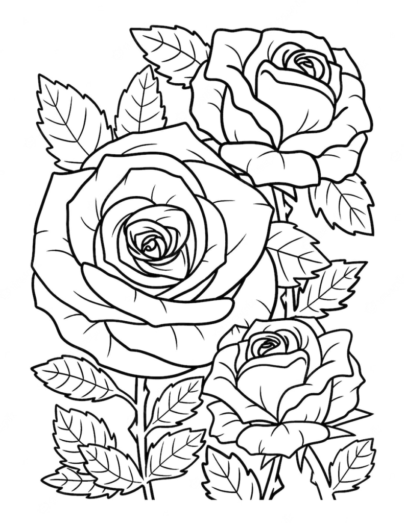 Coloriage de roses Ă imprimer