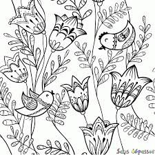 Coloriage fleurs et oiseaux