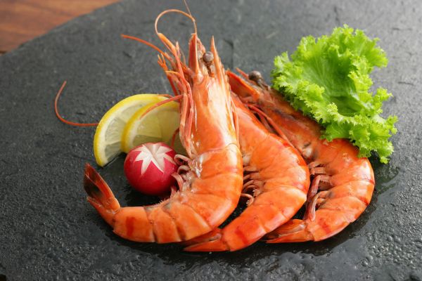 manger des crevette pendant la grossesse
